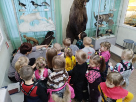 "Дикие животные, обитающие в лесах Тарногского края"" "Дикие животные, обитающие в лесах Тарногского края"".