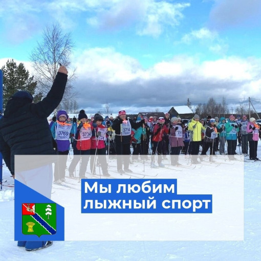 Мы любим лыжный спорт Мы любим лыжный спорт.